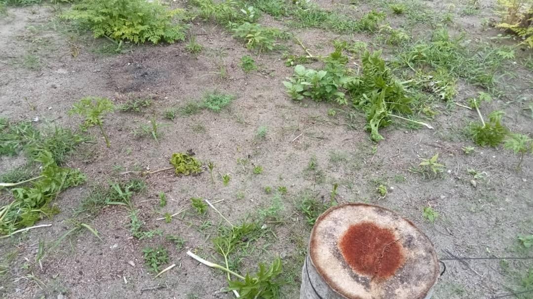 Apartament Sebangkat Island Tun Sakaran Marine Park Semporna Zewnętrze zdjęcie